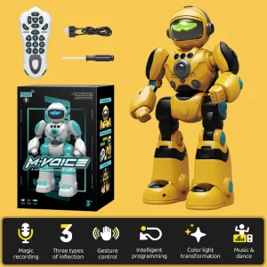 RC Robot